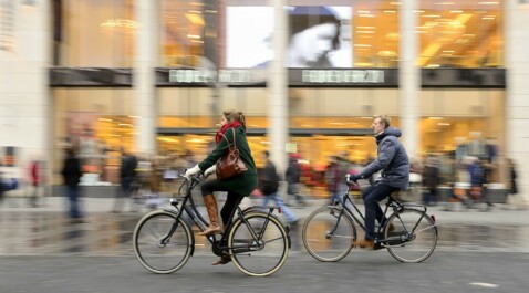 A group of cyclists ride through downtown Antwerp