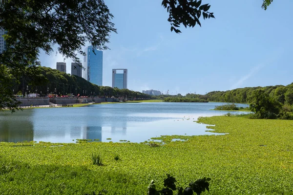 The Ecological Reserve in Buenos Aires, Argentina