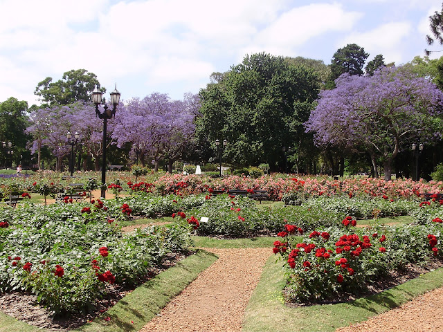 The rose garden in Buenos Aires, Argentina