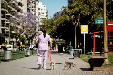 A women walks two small dogs down a street in Buenos Aires, Argentina