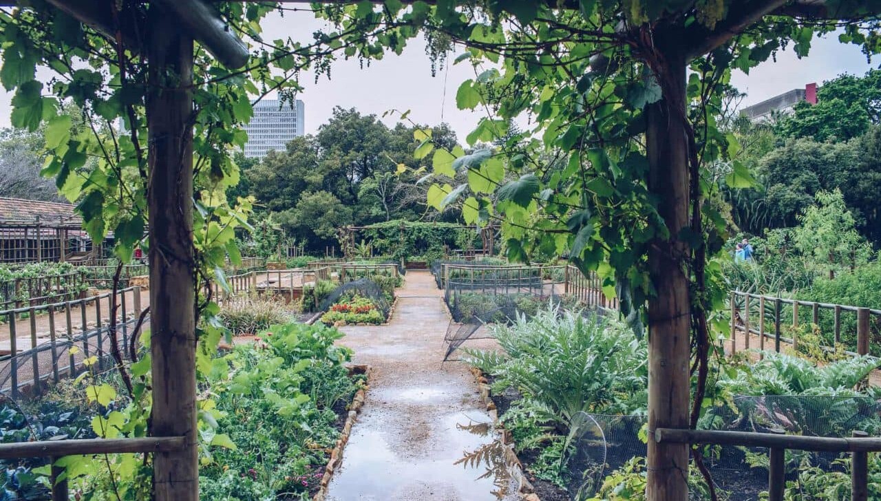 Company Gardens in Cape Town, South Africa