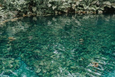 A crystal clear cenote in Tulum, Mexico