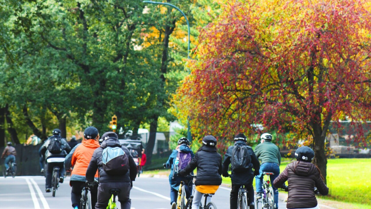 Cyclists ride along tree-lined paths in New York City's Central Park