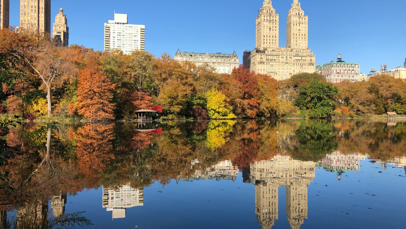 The Jacqueline Kennedy Onassis Reservoir in Central Park, New York City