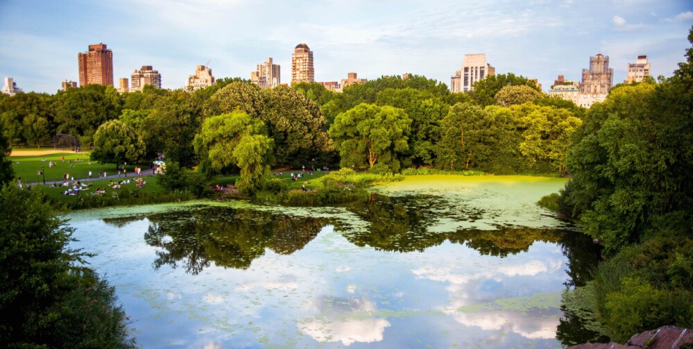 The Reservoir in Central Park, New York City
