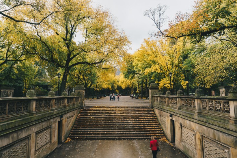 Stairs in New York City's Central Park