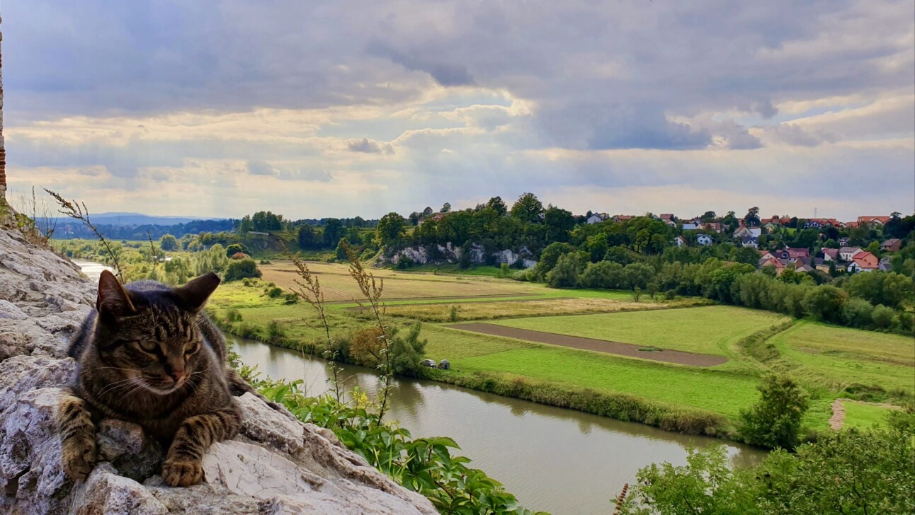 The Vistula River near Krakow, Poland