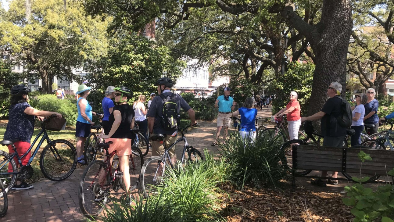 Oak Trees in Savannah