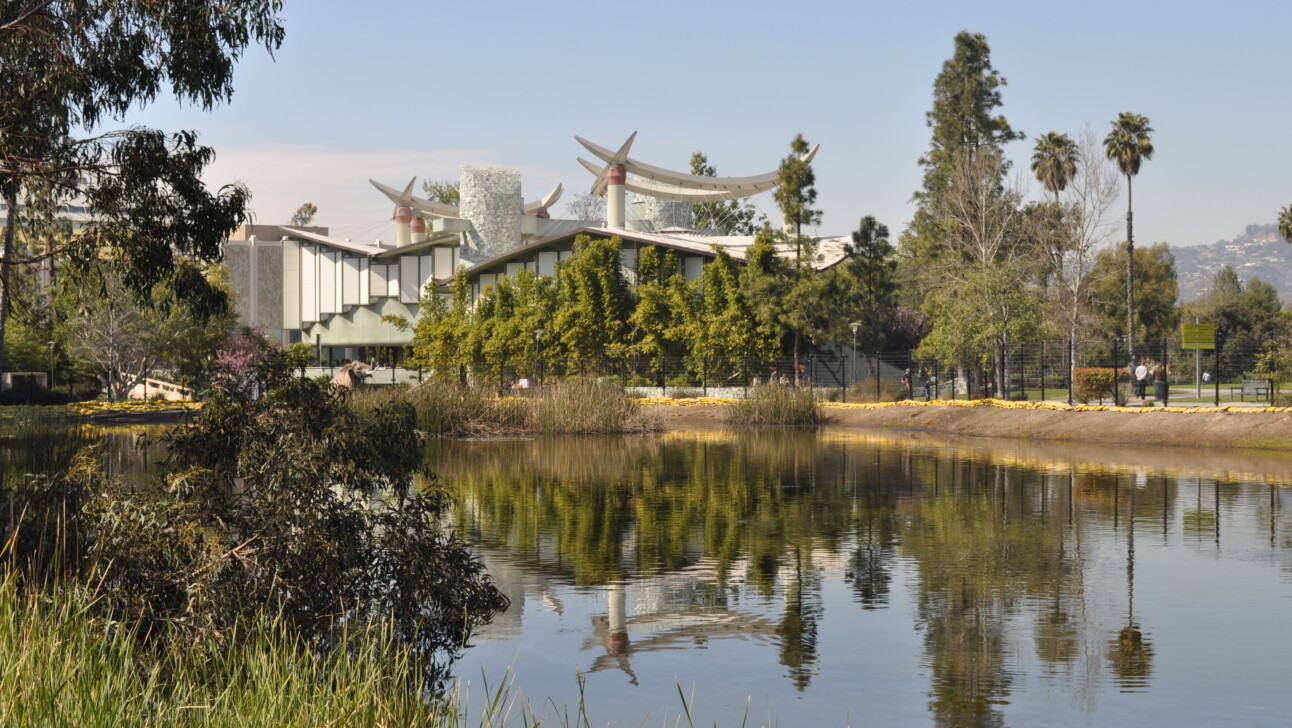 A body of water and a modern home in Hancock Park, Los Angeles