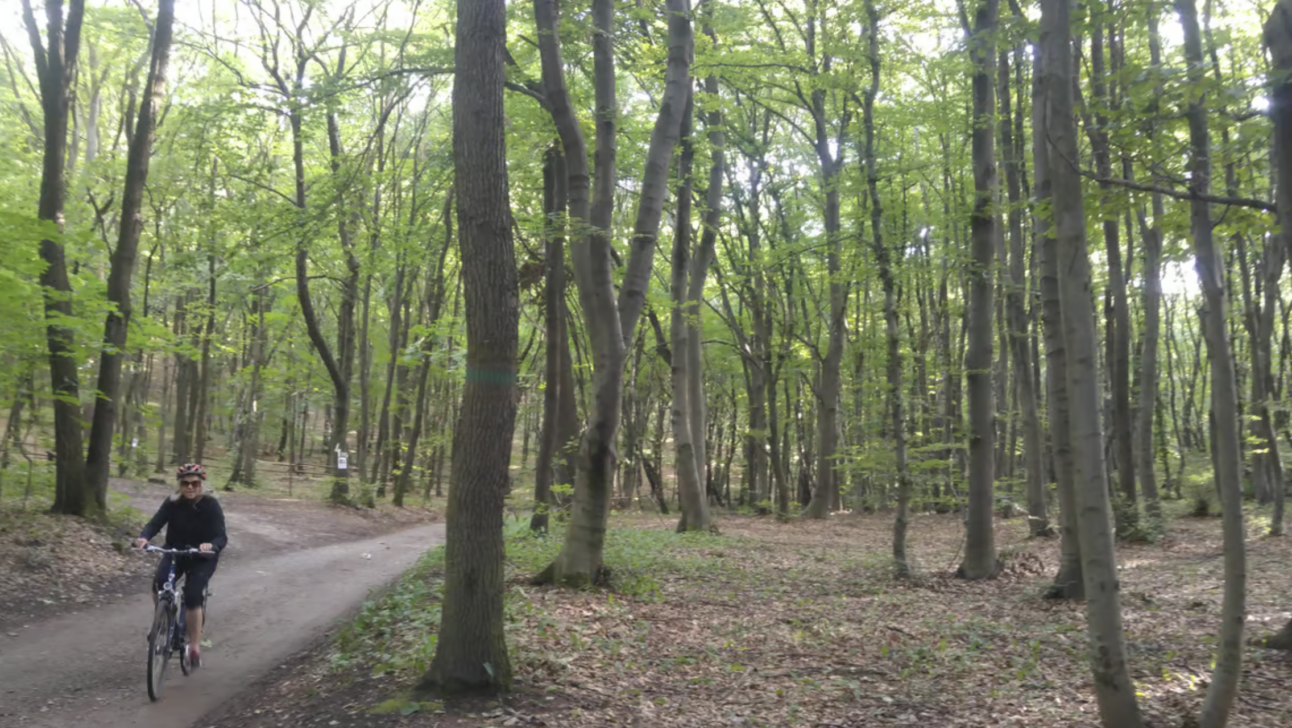 A women riding her bike through the Tyniec forest outside Krakow, Poland