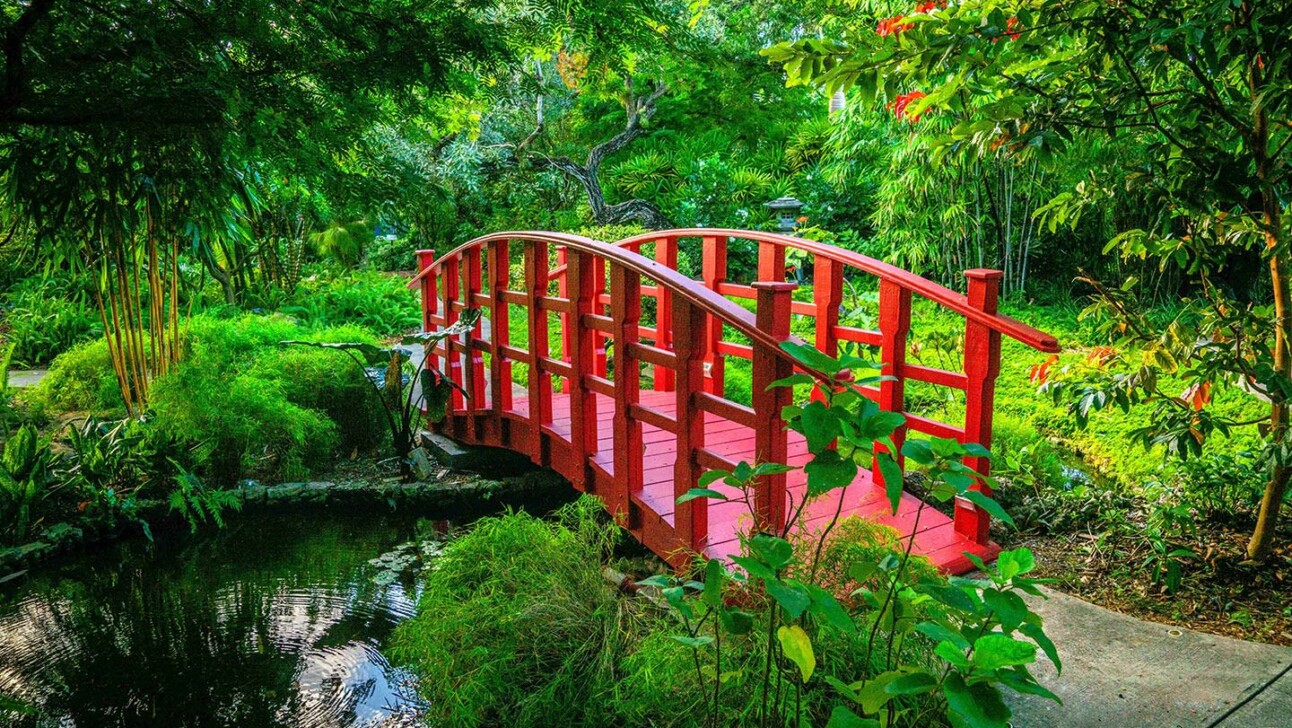 The red Japanese bridge in the Botanical Garden in Miami, Florida