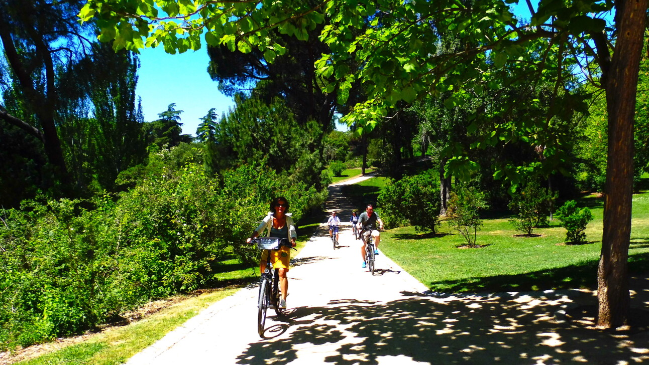 Cyclists ride through Parque del Oeste in Madrid, Spain