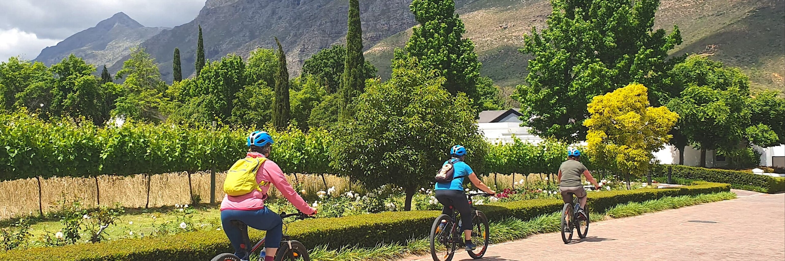 17+ Basket On A Mountain Bike