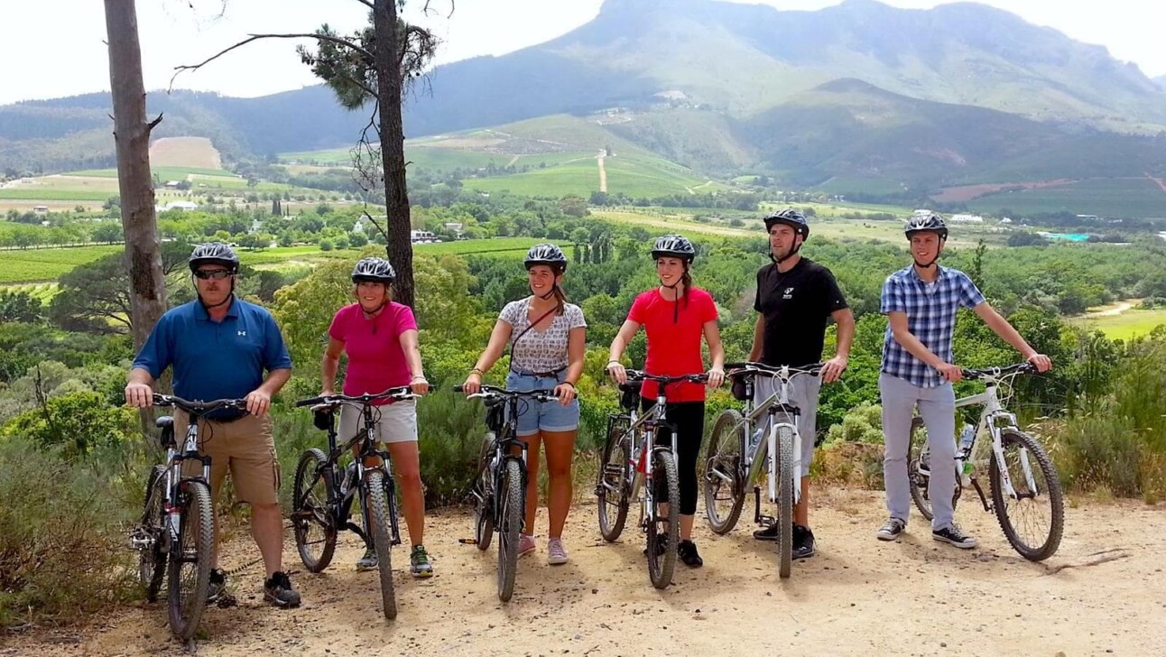 Stellenbosch vineyards