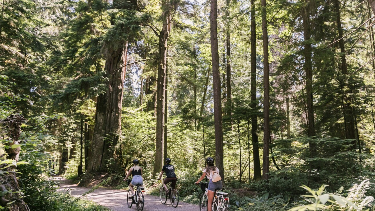 Biking through Stanley Park.