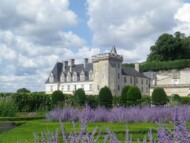 Lavender fields at Villandry Gardens