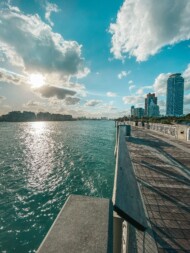 A view of Miami from the water