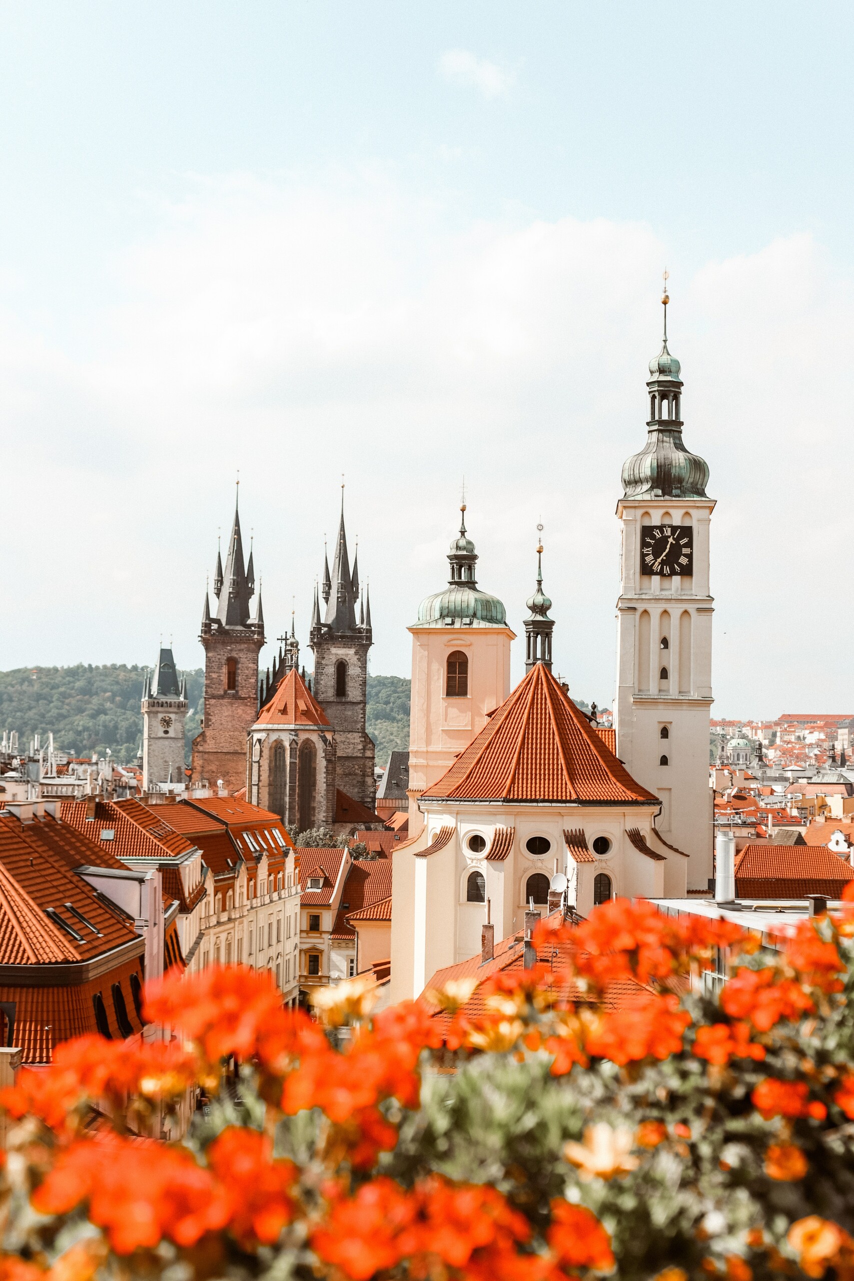 The city of Prague with flowers in the foreground