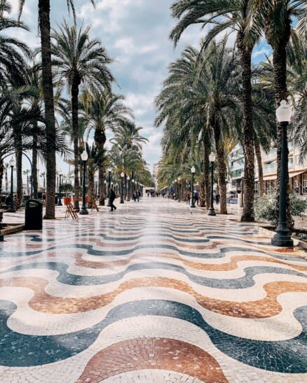 The explanada lined with palm trees in Alicante