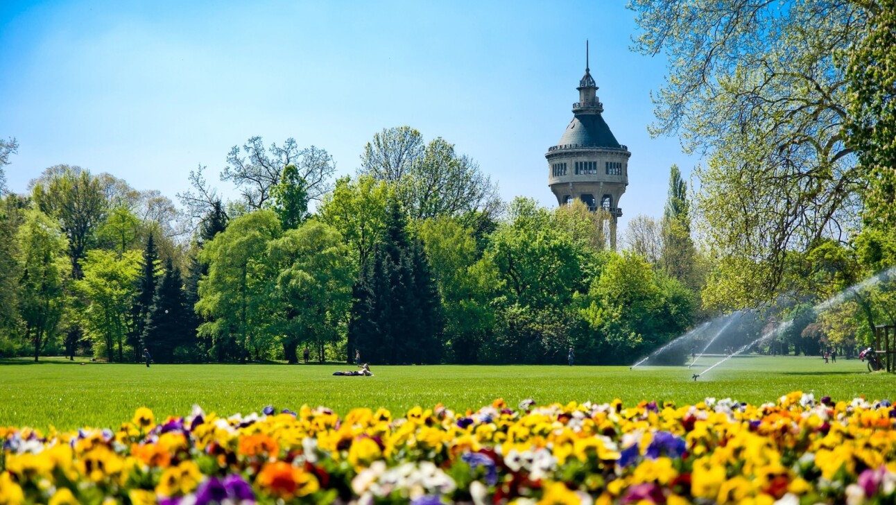 Flowers and a park on Margaret Island in Budapest