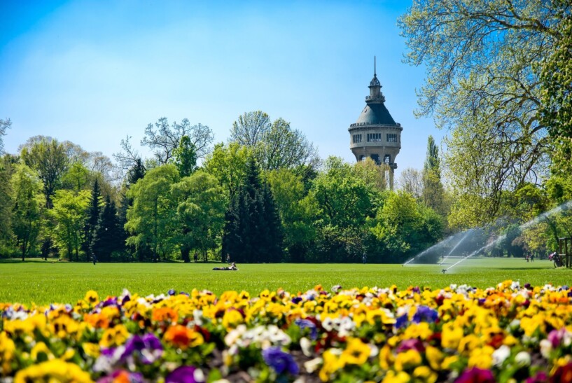 Flowers and a park on Margaret Island in Budapest